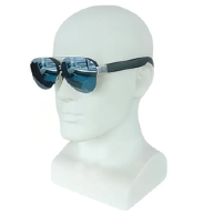smart glasses
